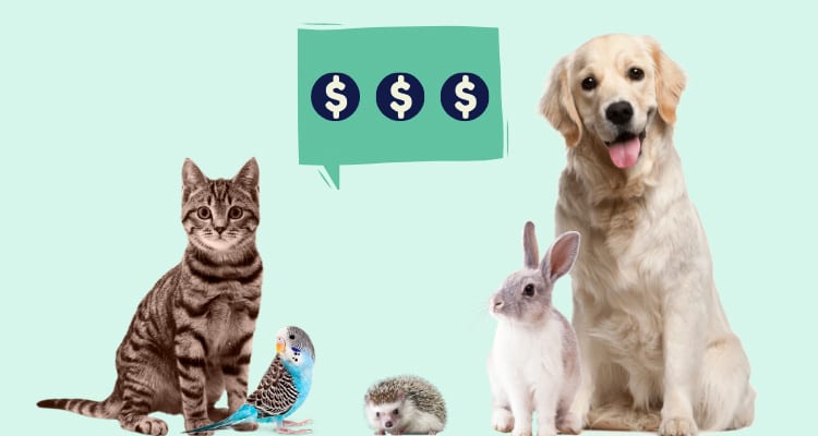 Cost of Pets