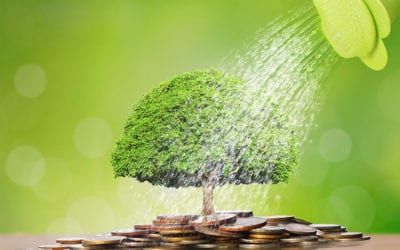 7 Steps to Become a Cash Flow Management Ninja