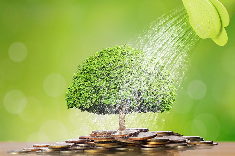 Cash flow concept: watering a money tree