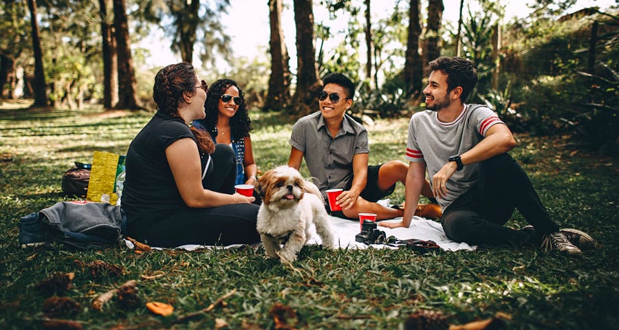 Friends having a picnic outdoors